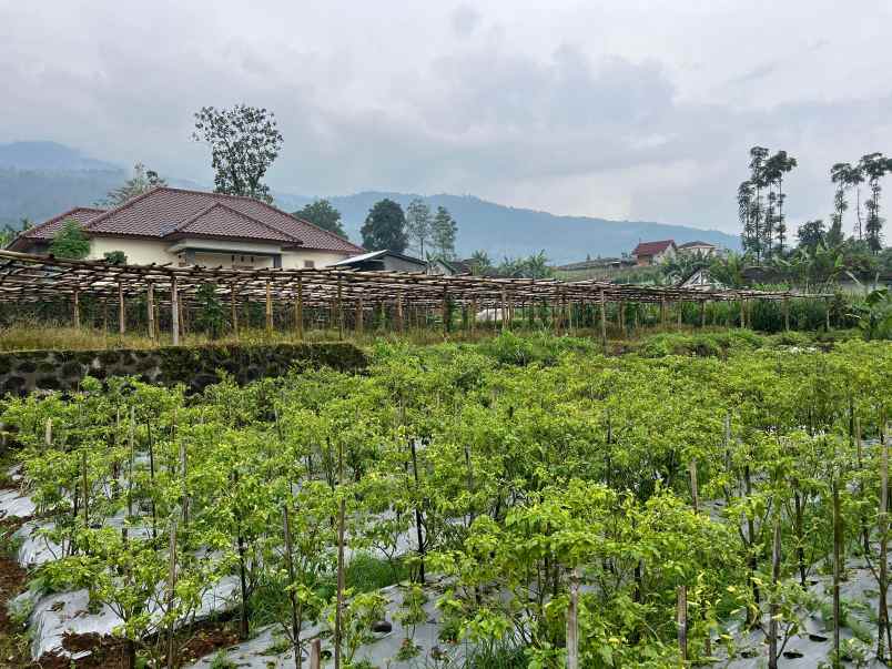 tanah kawasan wisata 400m2 kemuning karanganyar
