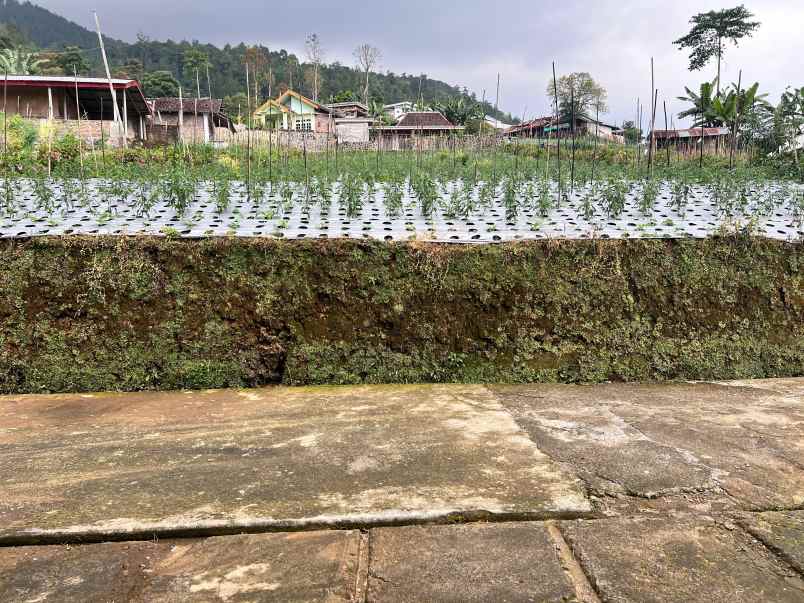 tanah kawasan wisata 750m2 kemuning karanganyar