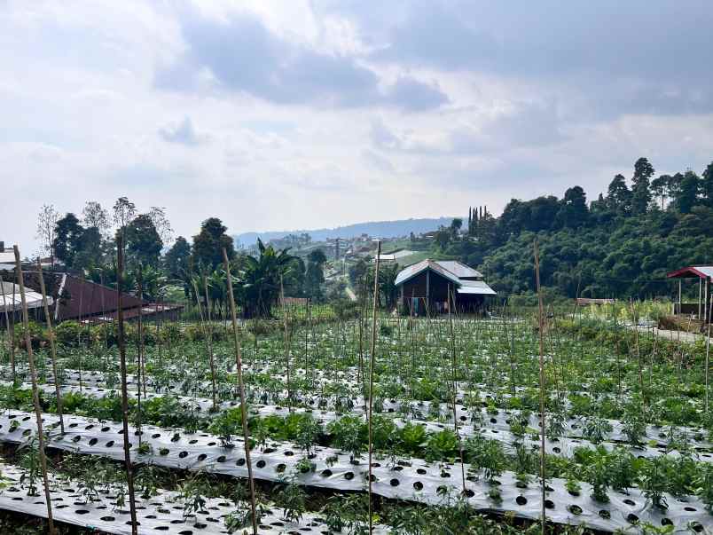 tanah kawasan wisata 750m2 kemuning karanganyar