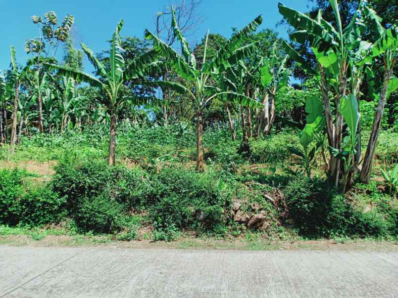 tanah kebun durian dekat wisata kemuning karanganyar