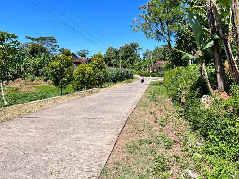 tanah kebun durian dekat wisata kemuning karanganyar