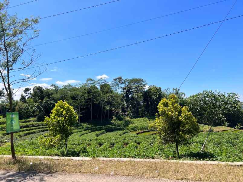 tanah kebun durian dekat wisata kemuning karanganyar