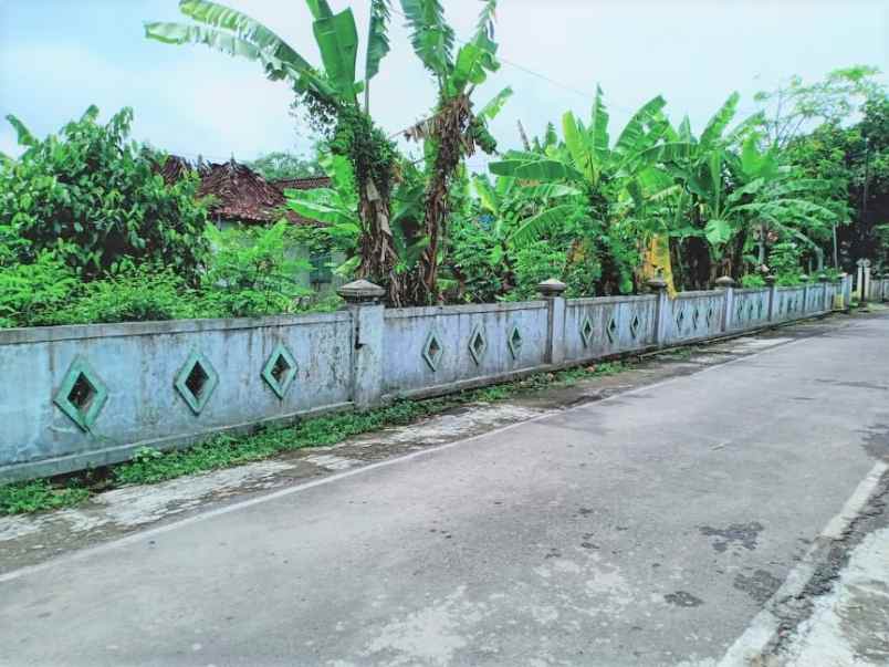 tanah kedawung sragen