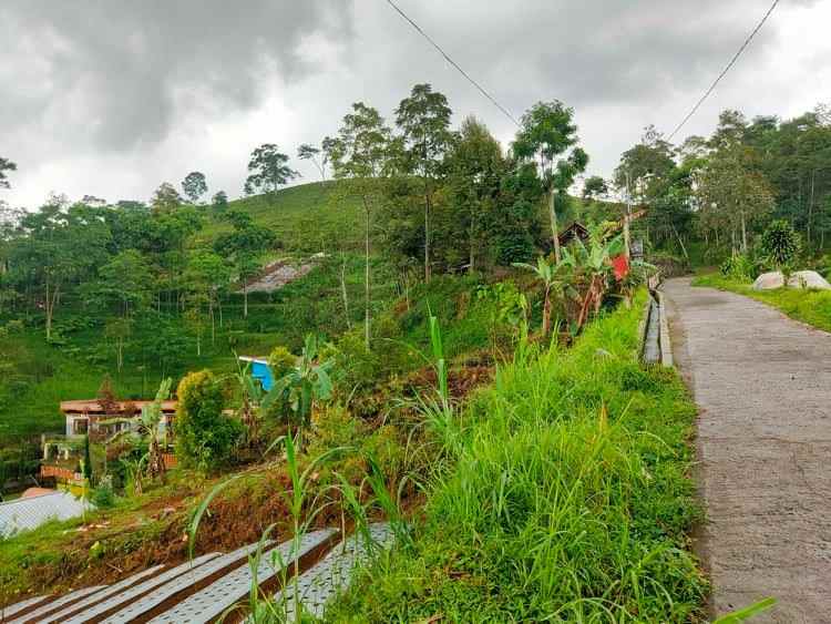 tanah kemuning ngargoyoso