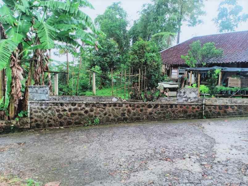 tanah kemuning ngargoyoso