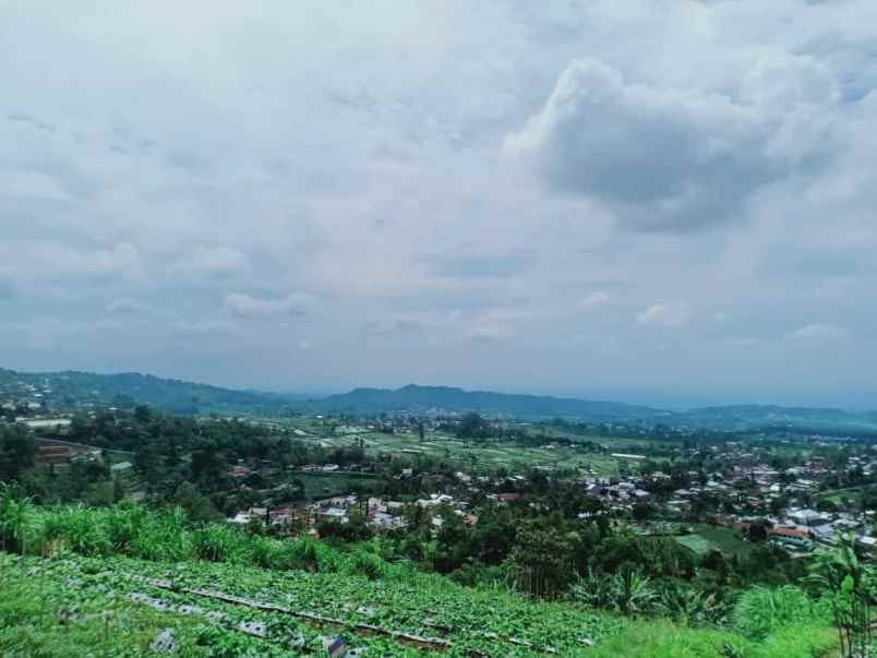 tanah kemuning ngargoyoso