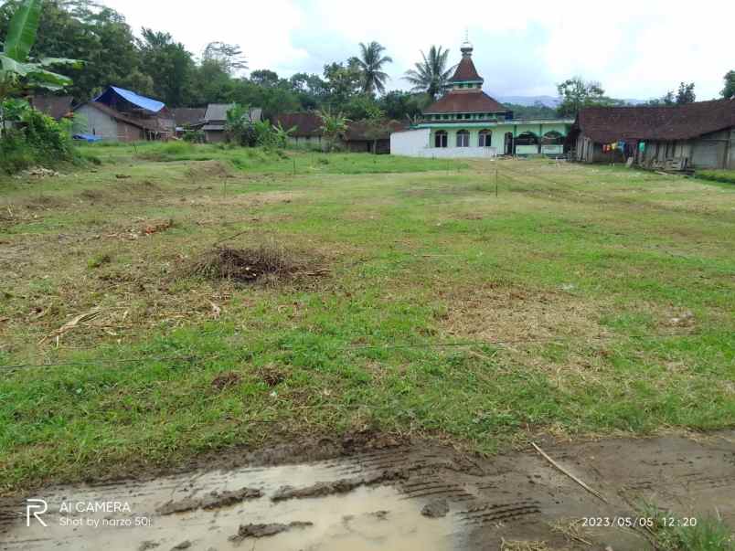 tanah murah di salaman akses mudah