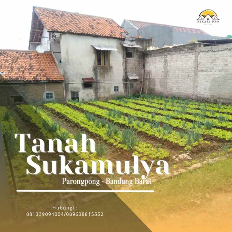 tanah murah jl sukamulya setiabudi regency atas