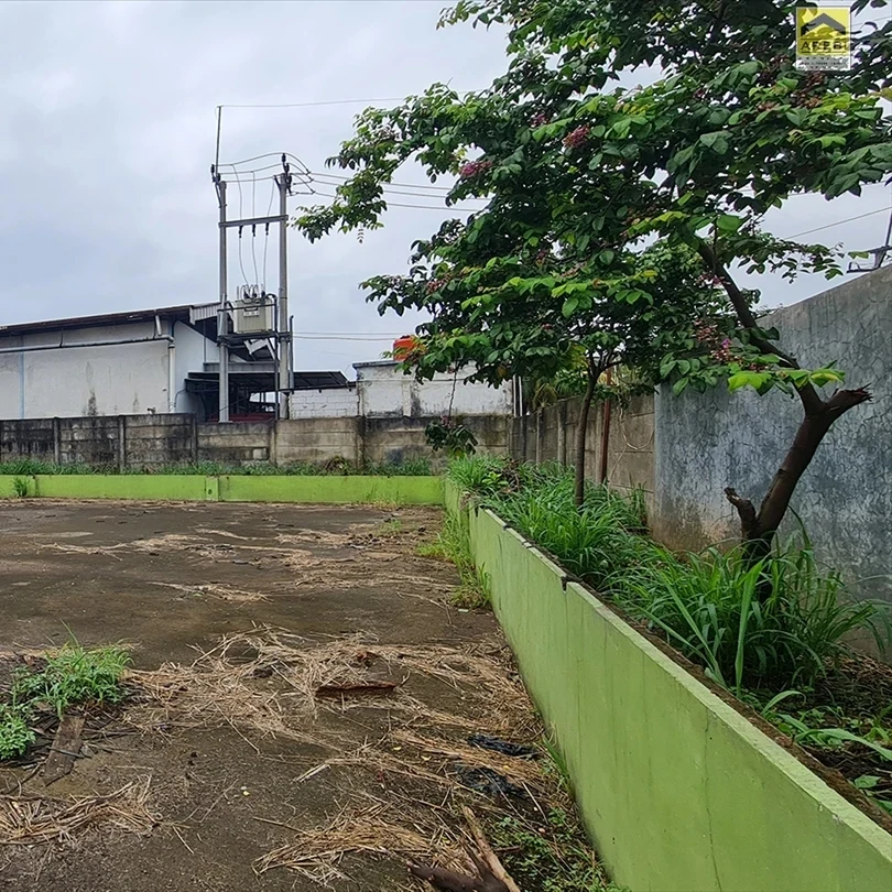 tanah murah luas ex gudang cibinong bogor