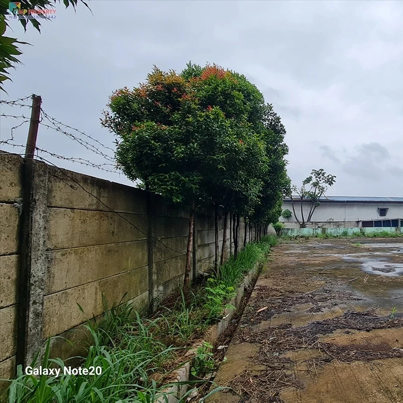 tanah murah luas ex gudang cibinong bogor