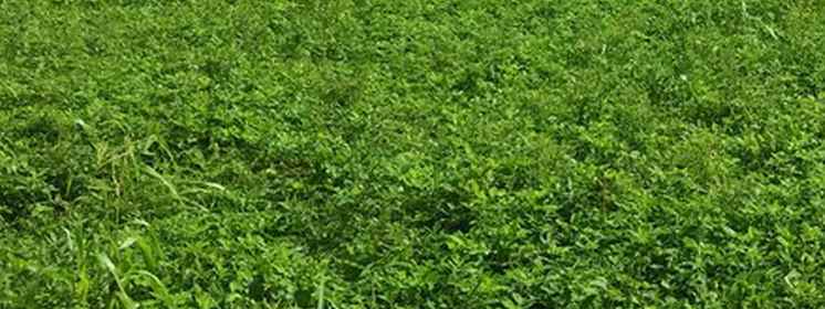 tanah raya pandugo rungkut dekat merr dan upn surabaya