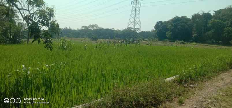 tanah sawah murah dan produktiv