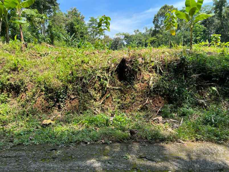 tanah strategis cocok dibuat kavling karanganyar