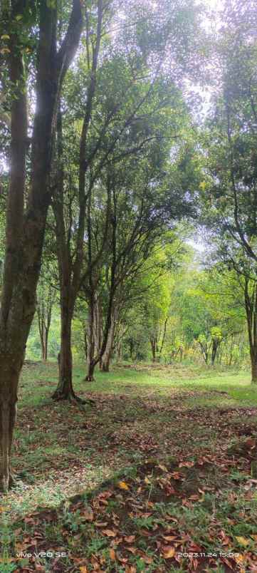 tanah strategis di lembang cocok untuk villa