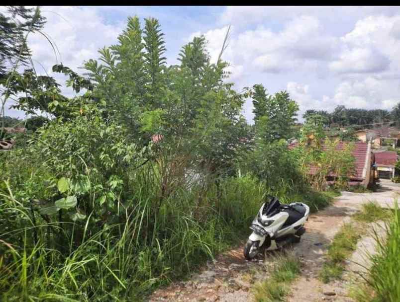 tanah tapak rumah tanah kosong