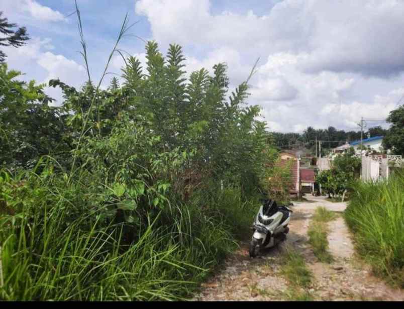 tanah tapak rumah tanah kosong