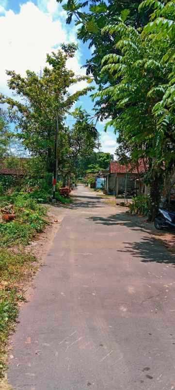 tanah widodomartani ngemplak sleman