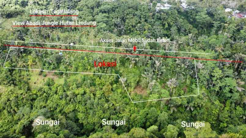 ubud pemandangan hutan lindung dan sungai