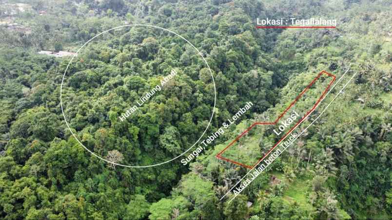 ubud pemandangan hutan lindung dan sungai