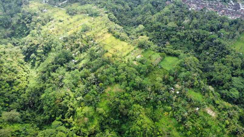 ubud pemandangan hutan lindung dan sungai