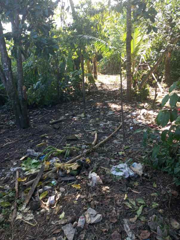 yellow zone land only 5 minutes to empathy school bali