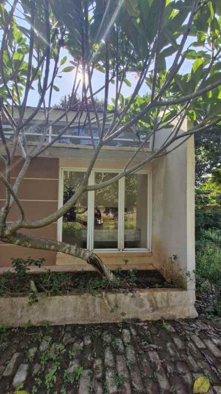 dijual cepat tanah disekitar jonggol