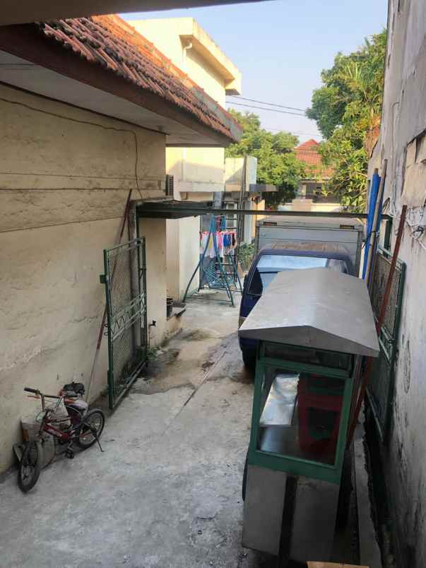 dijual kost palmeriam