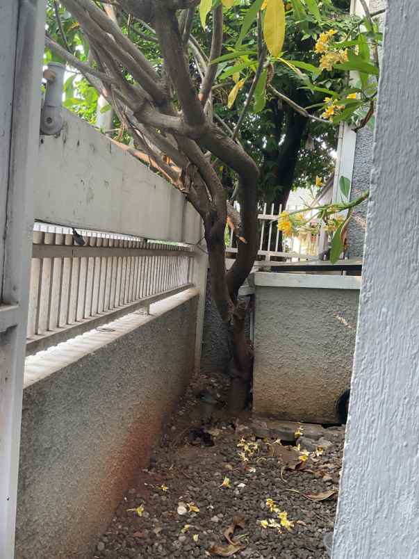 dijual rumah cempaka putih