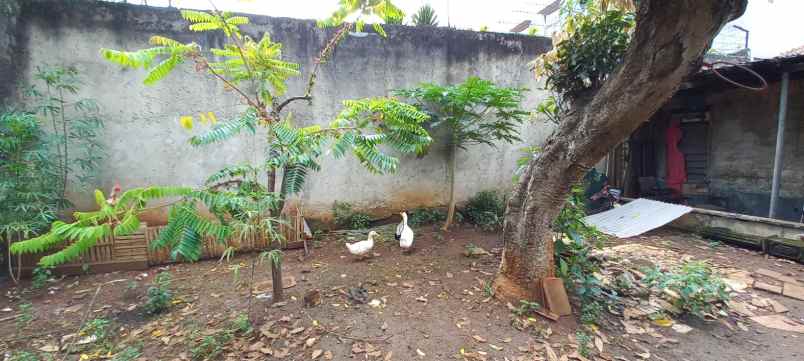 dijual rumah cilandak barat