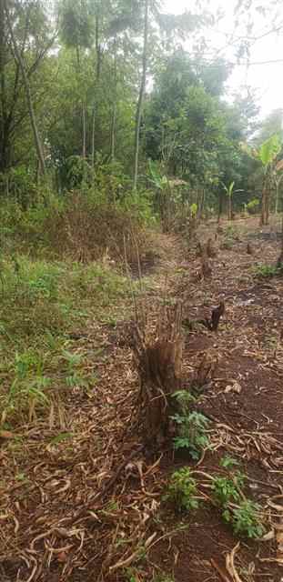 dijual rumah cisarua bandung barat