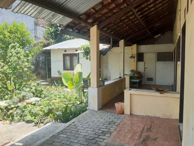 dijual rumah dekat kampus jember