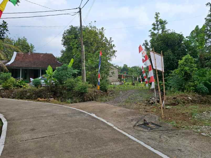 dijual rumah di setro kaligading boja kab kendal