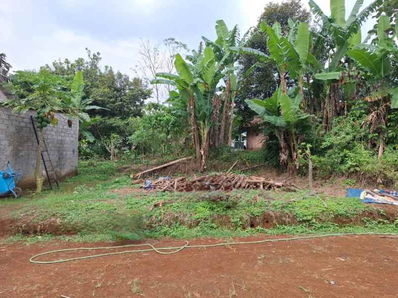 dijual rumah di setro kaligading boja kab kendal