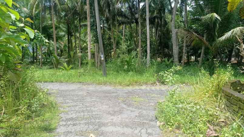 dijual rumah jalan wates