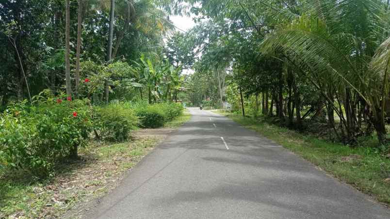 dijual rumah jalan wates