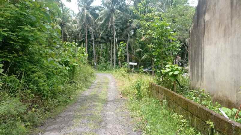 dijual rumah jalan wates purworejo