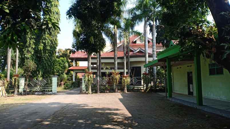 dijual rumah jatipelem