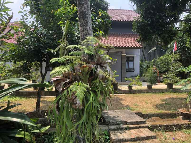 dijual rumah jl cilandak i cilandak