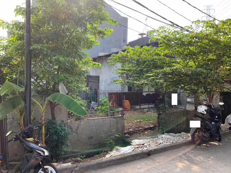 dijual rumah kelapa hibrida kelapa gading