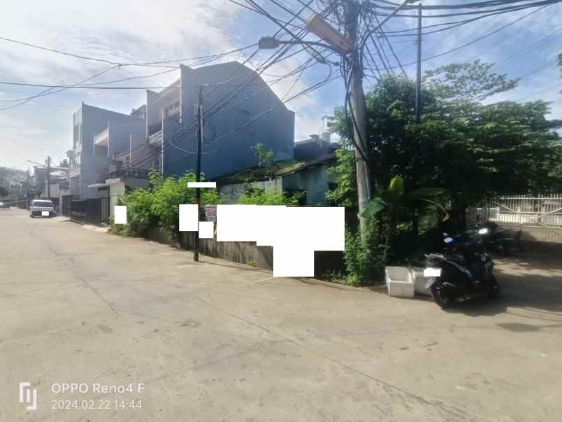 dijual rumah kelapa hibrida kelapa gading