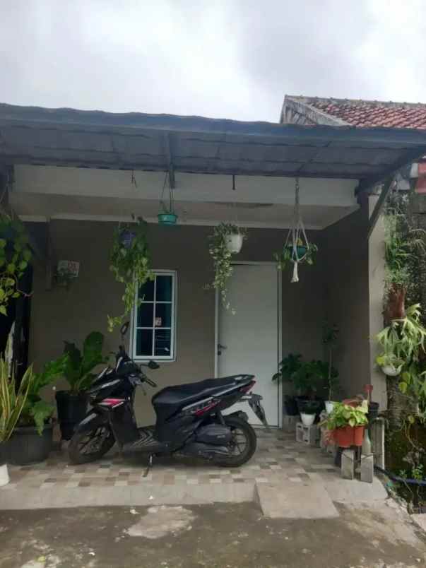 dijual rumah kontrakan di setu