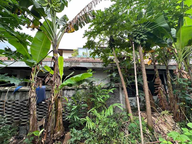 dijual rumah menteng