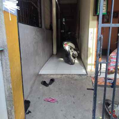 dijual rumah pejuang