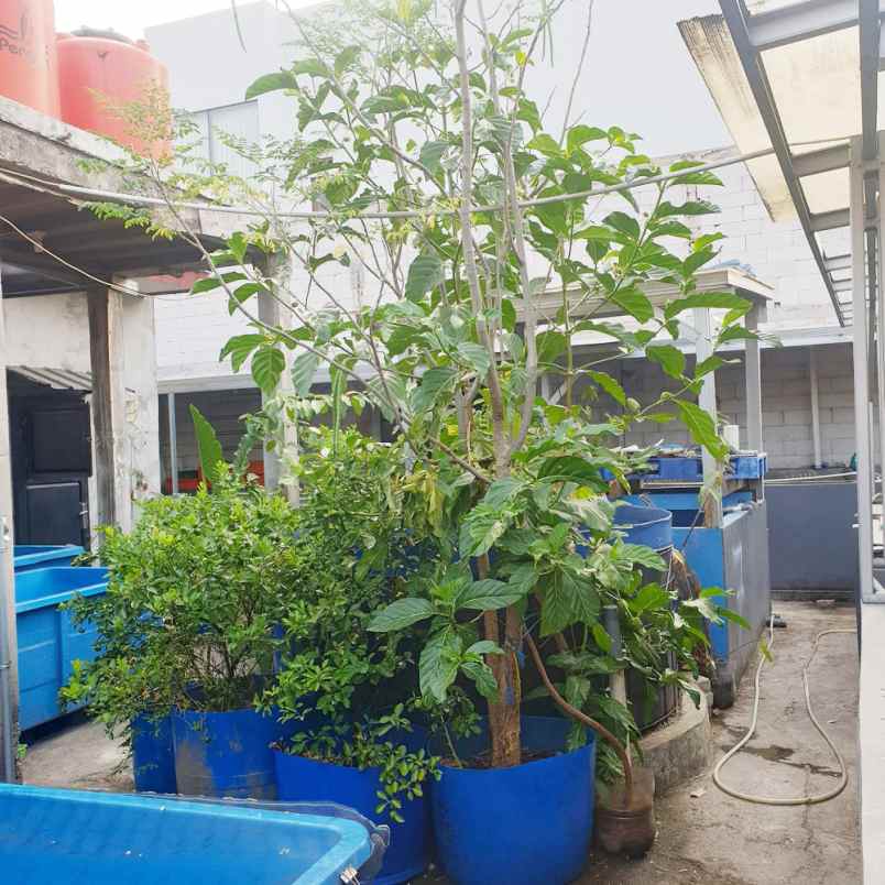 dijual rumah perumahan taman aster kel