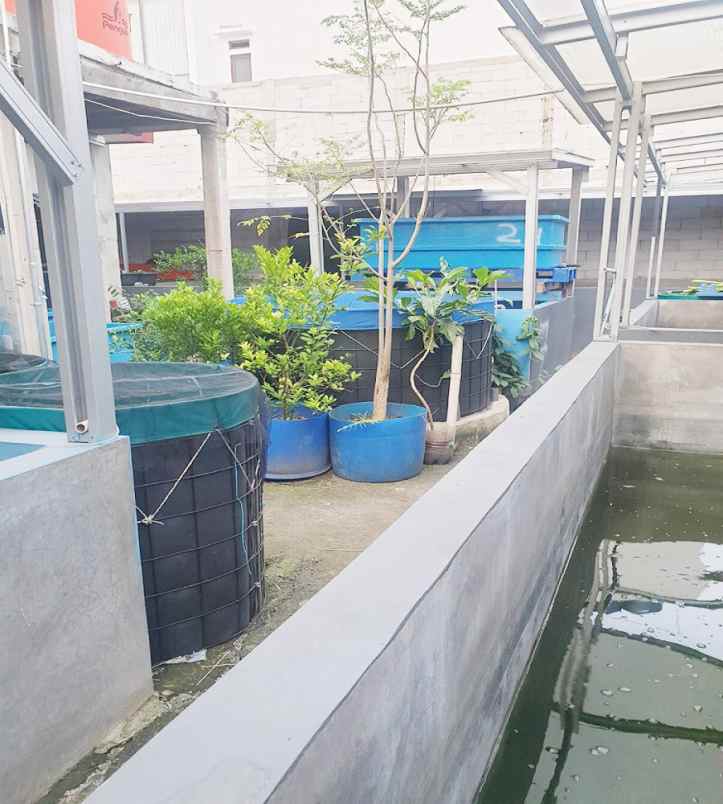 dijual rumah perumahan taman aster kel