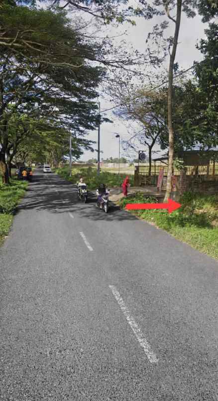 dijual sawah produktif kepanjen malang jawa timur