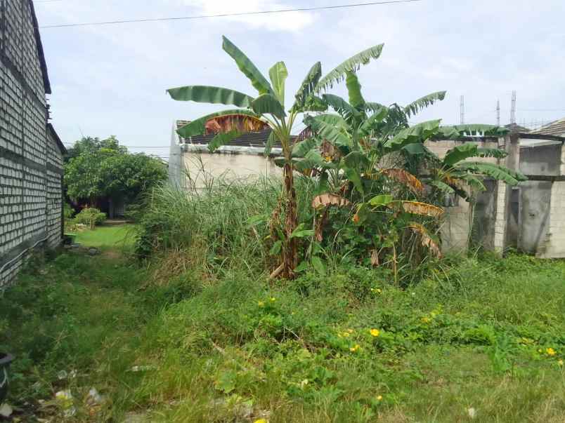 dijual tanah area cerme gresik jatim