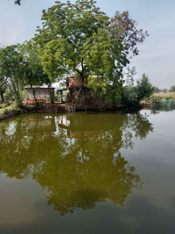 dijual tanah bangunsari