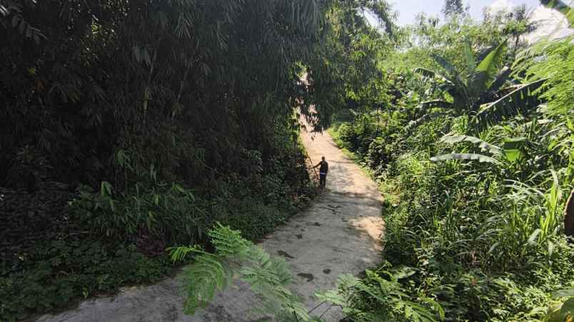 dijual tanah ciampea