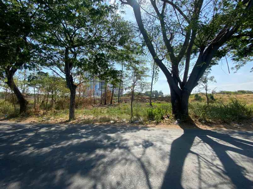 dijual tanah citraland